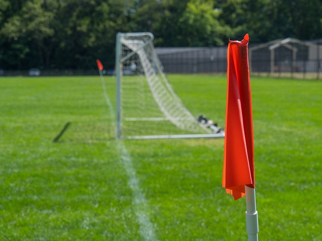 欧冠进球榜更新：莱万连续进球,