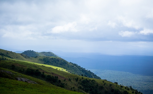整体比赛的 整体比赛的