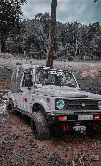 而不是單純 而不是單純