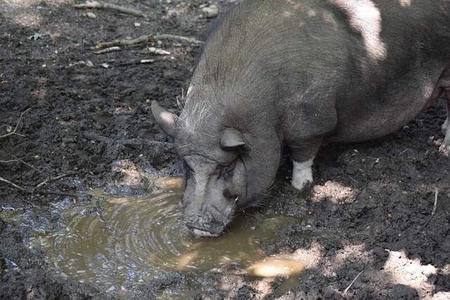 也为球迷们 也为球迷们
