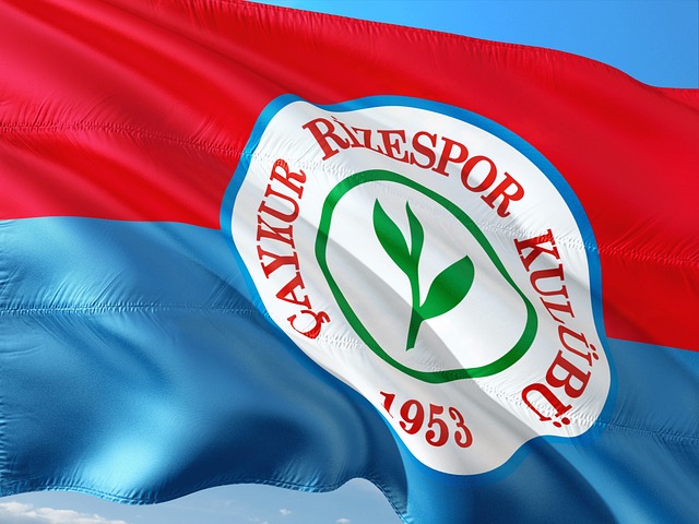 业内对中国 业内对中国