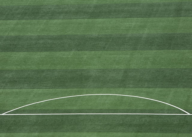 与此同时 与此同时