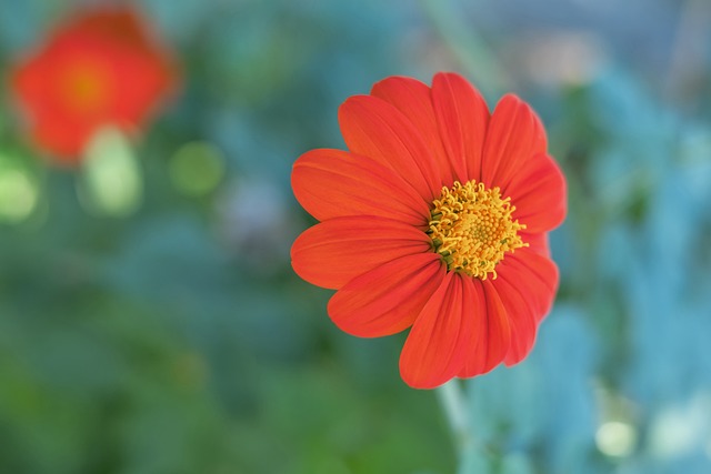 搏杀的勇者 搏杀的勇者