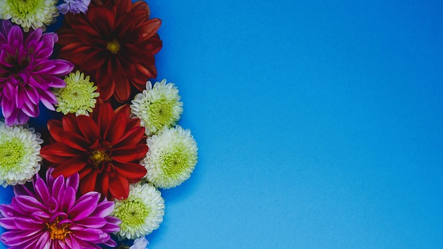 了中国球员 了中国球员